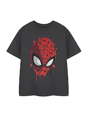 Vanilla Underground Grey Boys Marvel Spiderman Licensed 100% Cotton T-Shirt - Image 1 of 6