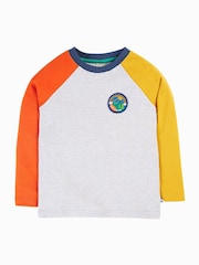 Frugi Boys Grey Colour Block Raglan Top - Image 1 of 6