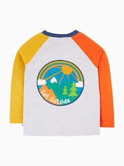 Frugi Boys Grey Colour Block Raglan Top - Image 3 of 6