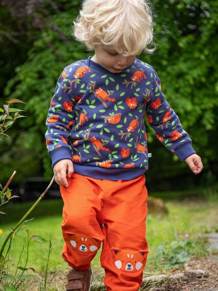 Frugi Blue Easy On Printed Jumper - Image 1 of 5