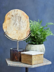 Fifty Five South Natural Relic Sculpture - Image 4 of 6