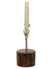 Fifty Five South Natural Relic Sculpture - Image 6 of 6