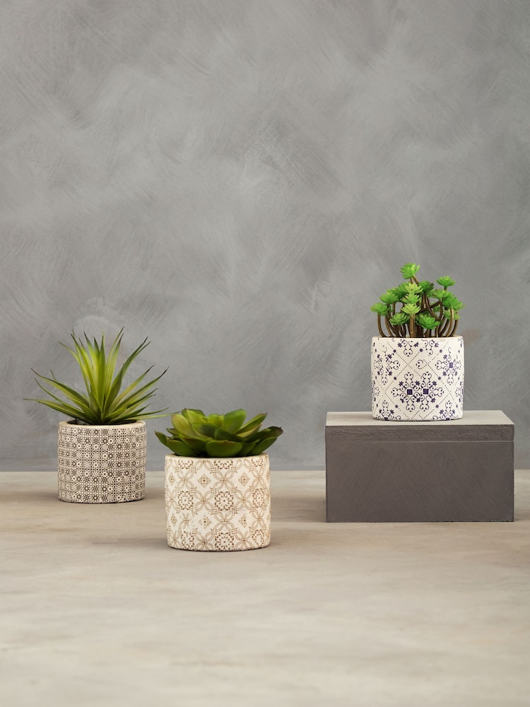 Interiors by Premier Green Set of 3 Fiori Succulents in Henna Ceramic Pots - Image 1 of 6
