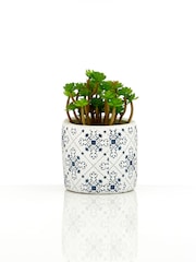 Interiors by Premier Green Set of 3 Fiori Succulents in Henna Ceramic Pots - Image 4 of 6