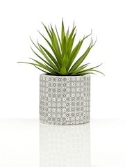 Interiors by Premier Green Set of 3 Fiori Succulents in Henna Ceramic Pots - Image 6 of 6