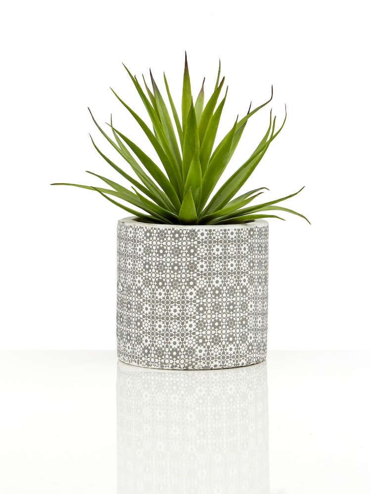 Interiors by Premier Green Set of 3 Fiori Succulents in Henna Ceramic Pots - Image 6 of 6 Interiors by Premier Green Set of 3 Fiori Succulents in Henna Ceramic Pots - Image 6 of 6