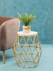 Interiors by Premier Grey Fiori Boston Fern Succulent - Image 1 of 6