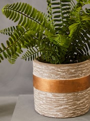 Interiors by Premier Grey Fiori Boston Fern Succulent - Image 2 of 6