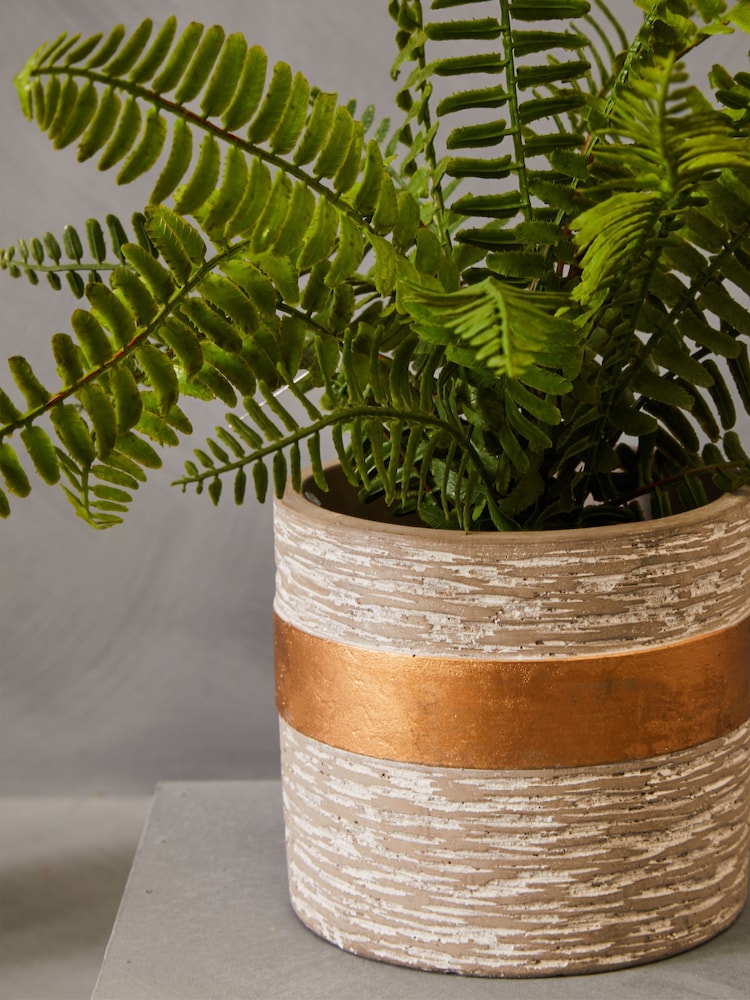Interiors by Premier Grey Fiori Boston Fern Succulent - Image 2 of 6