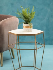 Interiors by Premier Grey Fiori Boston Fern Succulent - Image 3 of 6