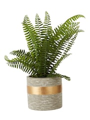 Interiors by Premier Grey Fiori Boston Fern Succulent - Image 4 of 6