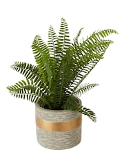 Interiors by Premier Grey Fiori Boston Fern Succulent - Image 5 of 6
