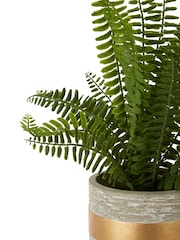 Interiors by Premier Grey Fiori Boston Fern Succulent - Image 6 of 6