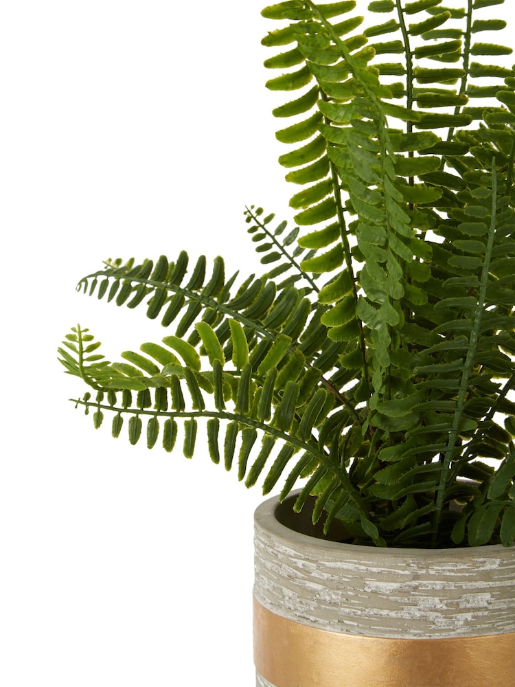 Interiors by Premier Grey Fiori Boston Fern Succulent - Image 6 of 6