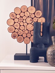 Interiors by Premier Black and Natural Lacuna Succulent - Image 1 of 6