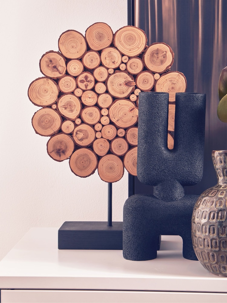 Interiors by Premier Black and Natural Lacuna Succulent - Image 1 of 6