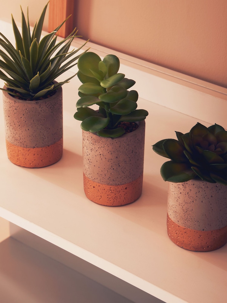Interiors by Premier Grey Set of 3 Fiori Succulent - Image 2 of 6 Interiors by Premier Grey Set of 3 Fiori Succulent - Image 2 of 6