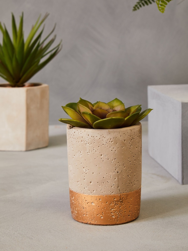 Interiors by Premier Grey Set of 3 Fiori Succulent - Image 6 of 6 Interiors by Premier Grey Set of 3 Fiori Succulent - Image 6 of 6