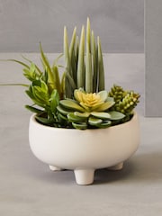 Interiors by Premier White Fiori Mixed Succulents In Large Ceramic Pots - Image 1 of 6