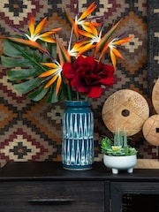 Interiors by Premier White Fiori Mixed Succulents In Large Ceramic Pots - Image 5 of 6