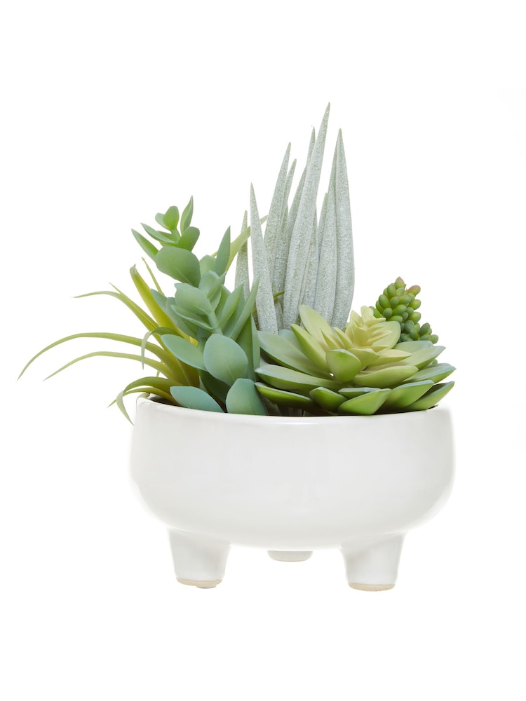 Interiors by Premier White Fiori Mixed Succulents In Large Ceramic Pots - Image 6 of 6