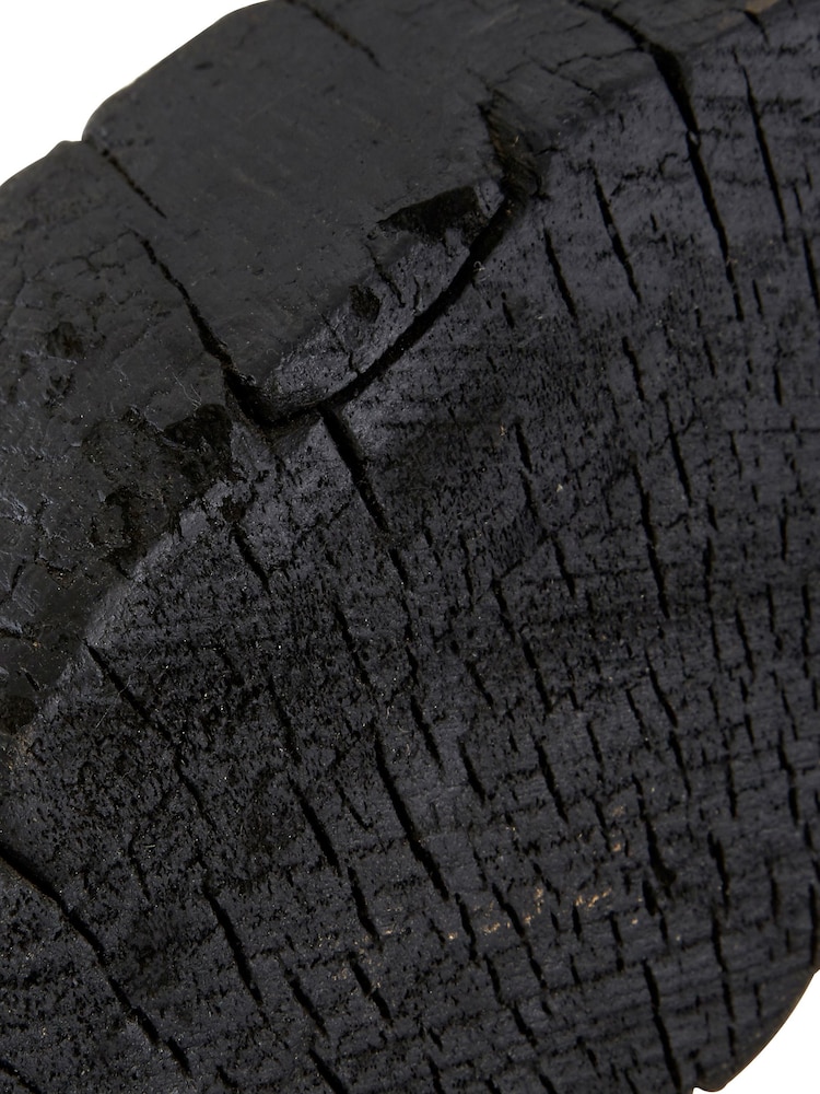 Fifty Five South Black Rustic Mango Wood Succulent - Image 5 of 5
