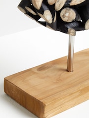 Interiors by Premier Black and Natural Seraya Small Ornaments Succulent - Image 6 of 6
