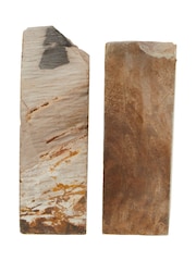 Fifty Five South Natural Relic Set Of 2 Petrified Wood Bookends - Image 3 of 5