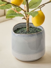 Green/Yellow Artificial Lemon Tree In Blue Ceramic Pot - Image 2 of 4