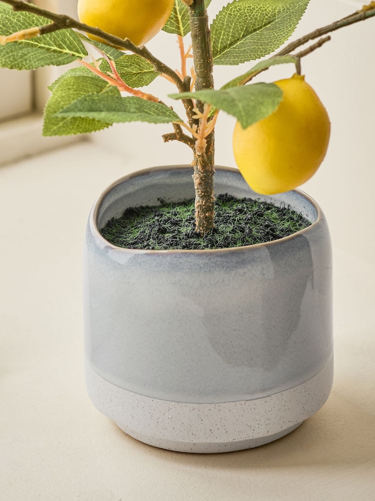 Green/Yellow Artificial Lemon Tree In Blue Ceramic Pot - Image 2 of 4
