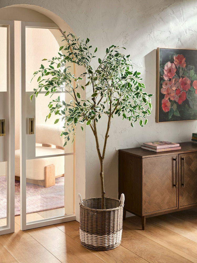 Green Artificial Benjamina Tree With Variagated Leaves - Image 1 of 4