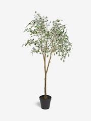 Green Artificial Benjamina Tree With Variagated Leaves - Image 3 of 4