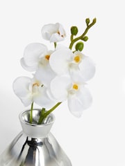 White White Artificial Orchid - Image 4 of 4