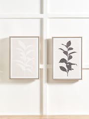 Pacific Natural Leaf Print Framed Canvas Set of 2 - Image 1 of 5