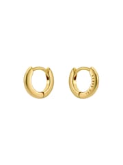 Ted Baker Golden yellow Tone Crislie Logo Hoop Earrings - Image 3 of 5