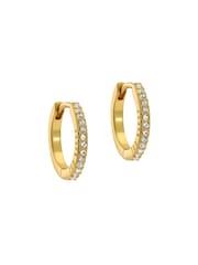 Ted Baker Gold Heplie: Crystal Hoop Earrings - Image 1 of 6