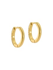 Ted Baker Gold Heplie: Crystal Hoop Earrings - Image 4 of 6
