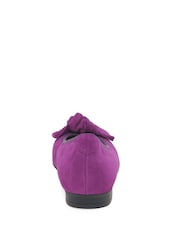 Gabor Picnic Suede Ballerina Style Shoes - Image 3 of 5