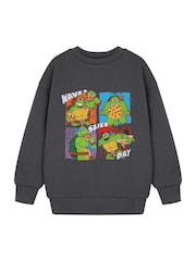 Vanilla Underground Grey Boys Teenage Mutant Ninja Turtles Licensed 100% Cotton Sweatshirt - Image 1 of 6