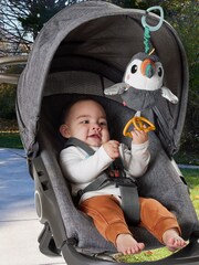 Fisher Price Flap And Go Toucan Stroller Toy - Image 5 of 6