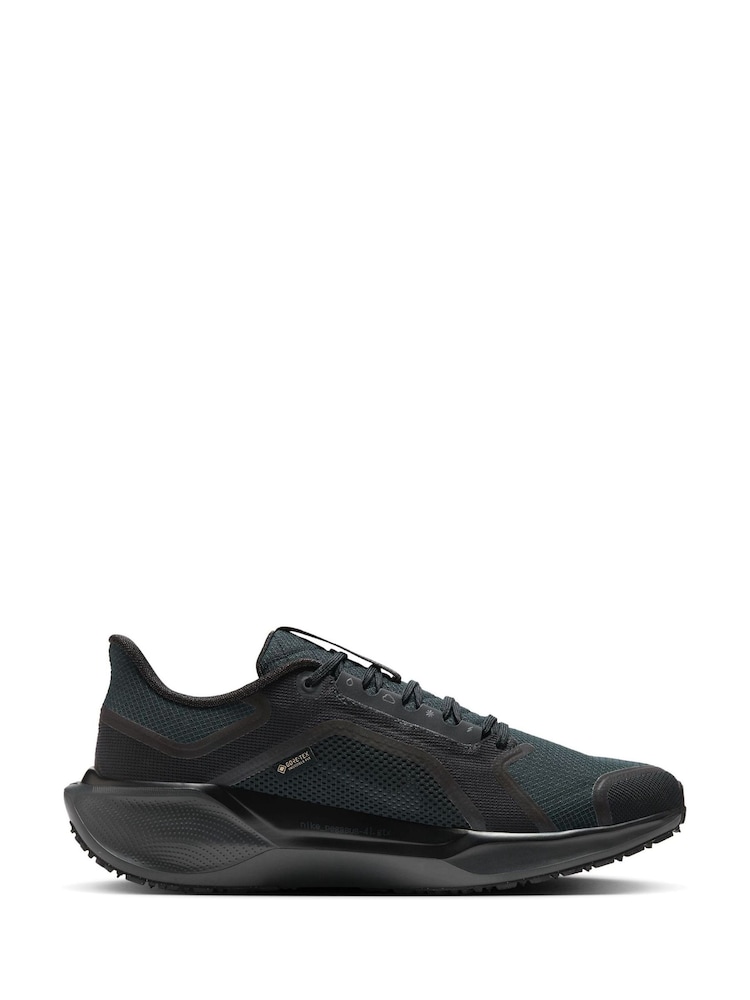 Nike Black Pegasus 41 GORE-TEX Trail Running Trainers - Image 1 of 12