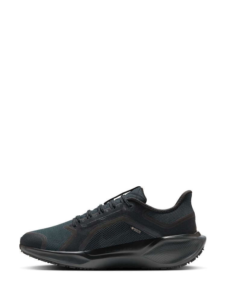 Nike Black Pegasus 41 GORE-TEX Trail Running Trainers - Image 2 of 12