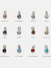 Posh Totty Designs Personalise Gold Tone Birthstone & Initial Disc Charm Necklace - Image 3 of 4