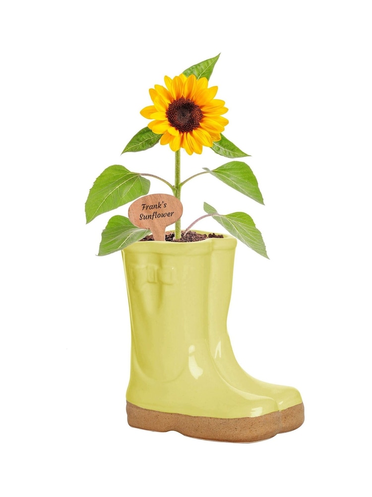 Small Yellow Welly Boots Garden Planter with Marker by Dibor - Image 2 of 5