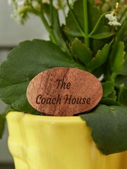 Little And Large Yellow Welly Garden Planters Set with Markers by Dibor - Image 5 of 5