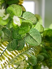 Botanical Bounty Evergreen Garden Wreath by Dibor - Image 3 of 5