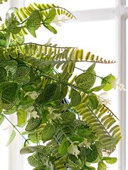 Botanical Bounty Evergreen Garden Wreath by Dibor - Image 4 of 5