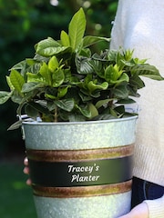 Rustic Metal Garden Tool Bucket by Dibor - Image 2 of 5