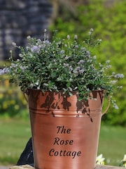 Copper Bucket Garden Planter by Dibor - Image 2 of 3