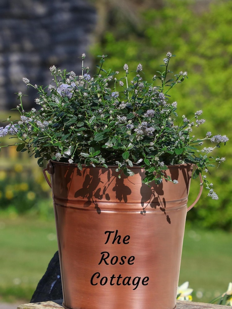 Copper Bucket Garden Planter by Dibor - Image 2 of 3